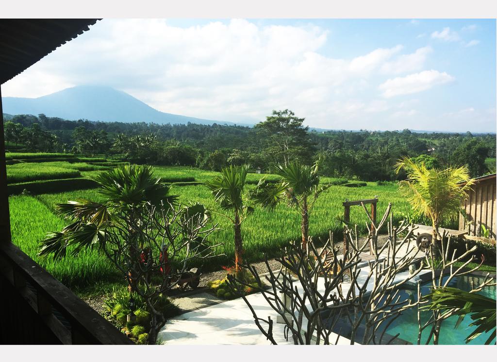 Ti Amo Bali Hotel Jatiluwih Luaran gambar