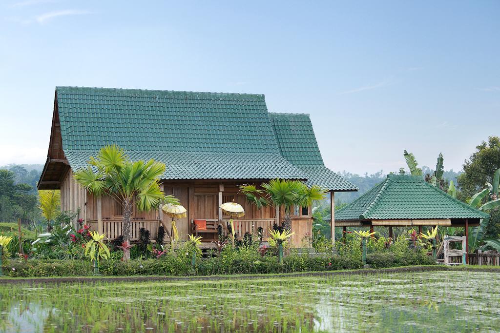 Ti Amo Bali Hotel Jatiluwih Luaran gambar
